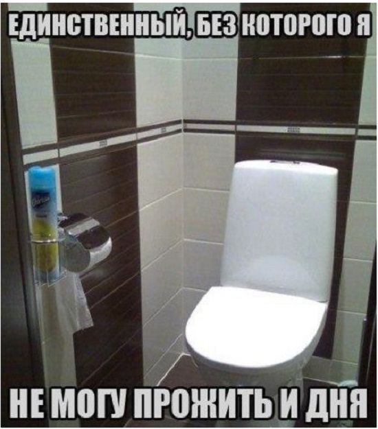 Картинки прикольные смешные