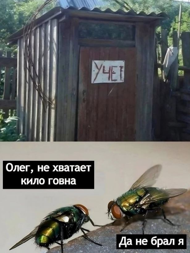 Самые смешные приколы картинки