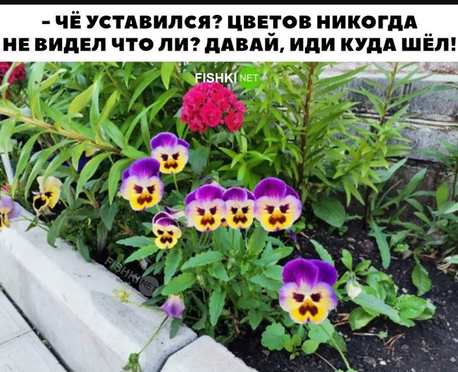Самые смешные картинки