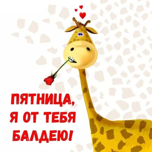 доброе утро пятница 11